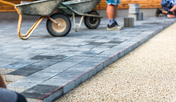 Best Driveway Paving Near Me  in Albany, WI